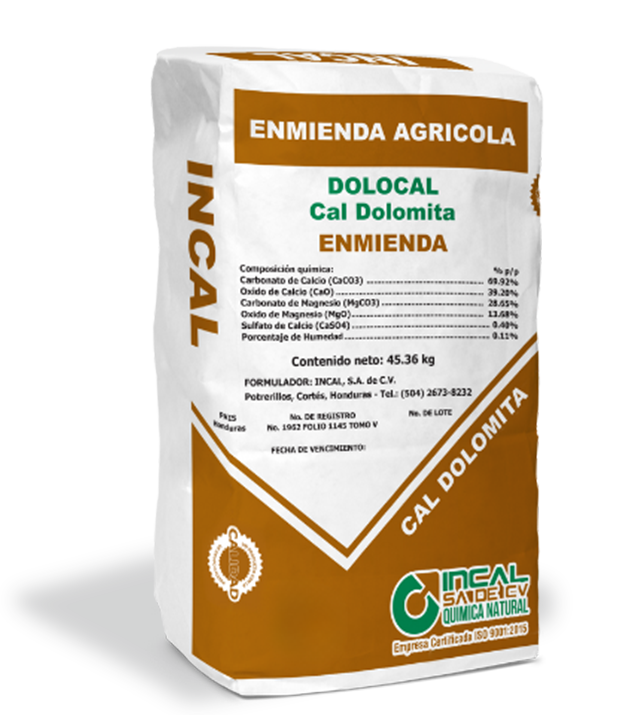 Dolocal Enmienda